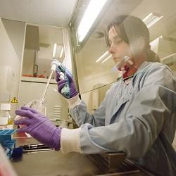 Technician engaged in cancer research